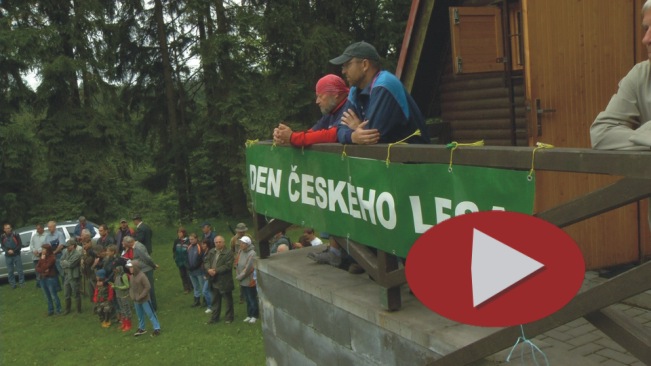 denceskeholesa