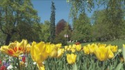 park1